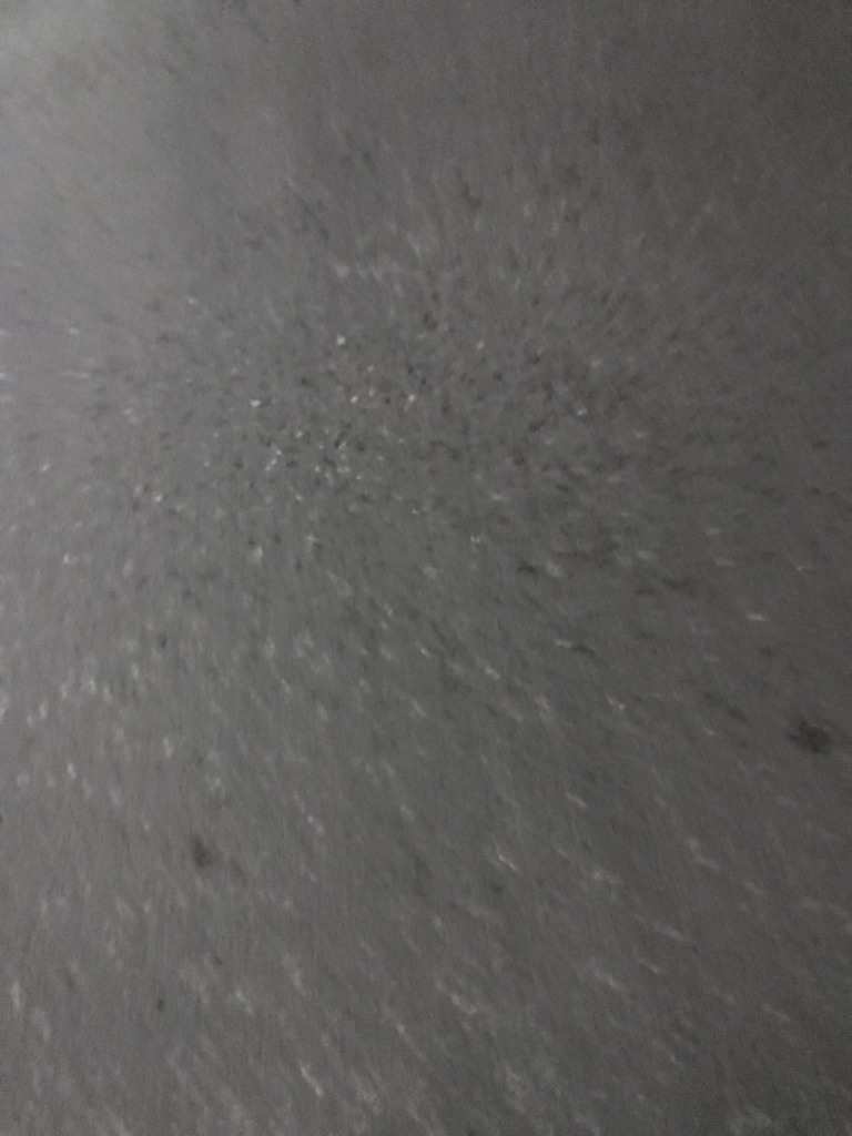 サプライズバースデーの魅力　菅原一秀の日記