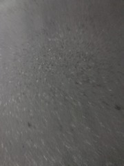 サプライズバースデーの魅力　菅原一秀の日記