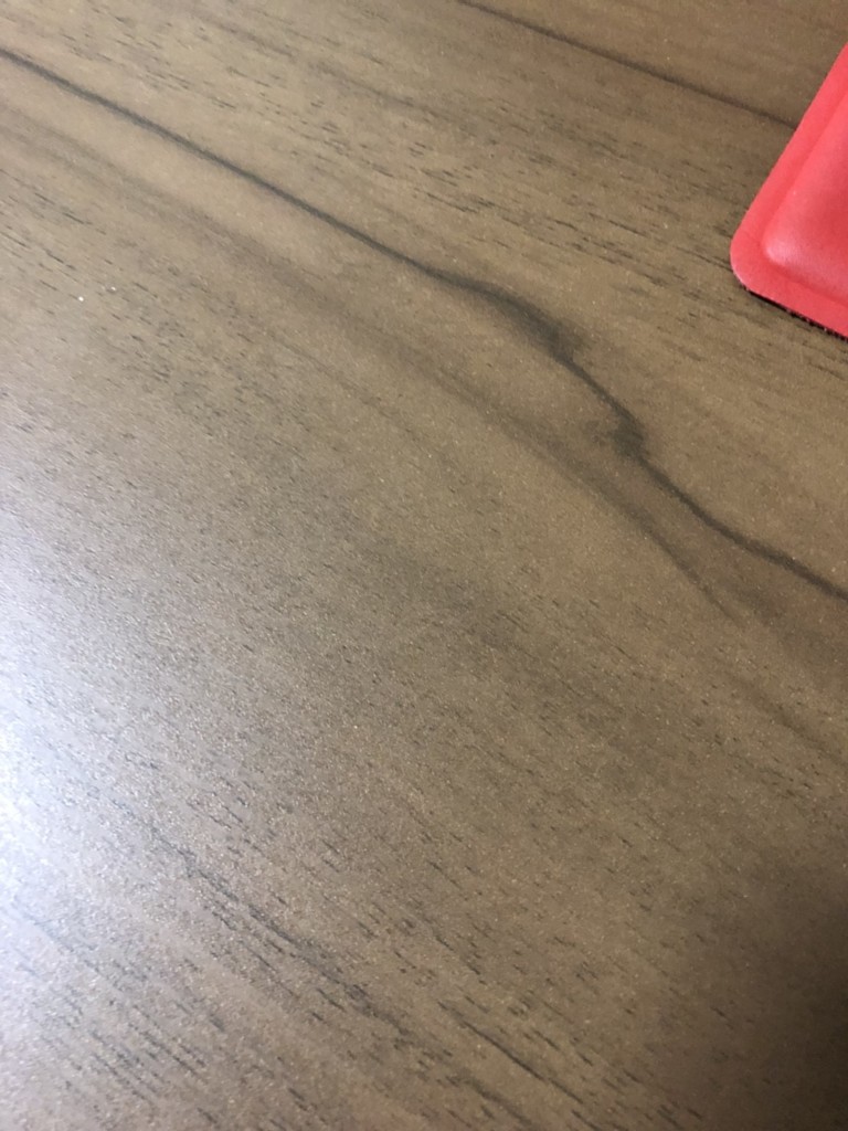 森の中を歩いた　　菅原一秀の日記