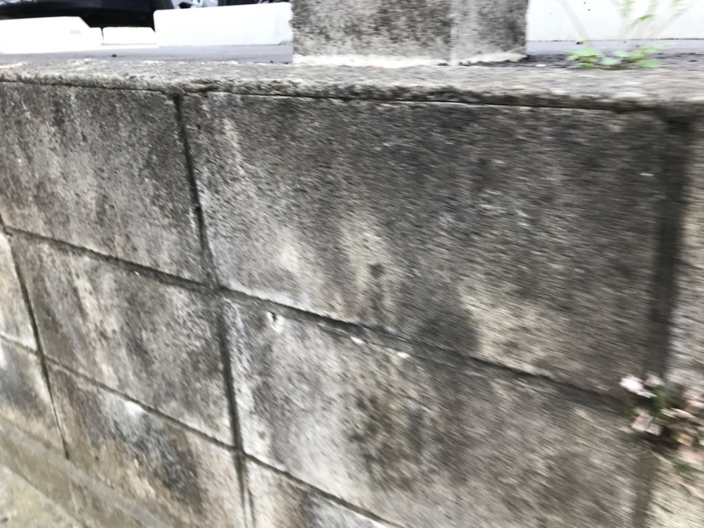 これからの時代の生き方　菅原一秀の日記