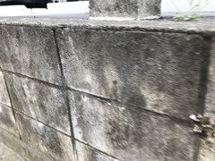 これからの時代の生き方　菅原一秀の日記