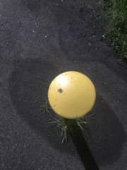 赤みの肉をかみちぎる　菅原一秀の日記