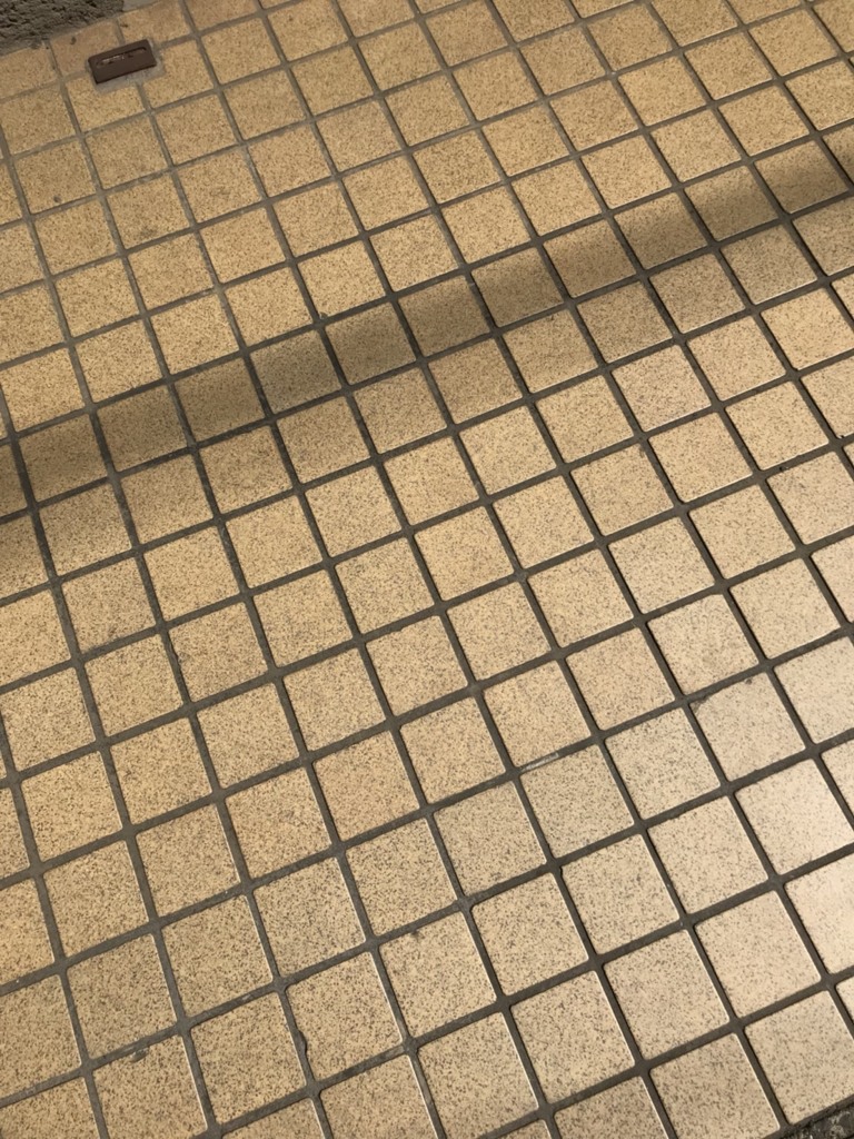 自家製サングリラってダメなんだけどな　菅原一秀の日記