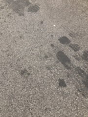 オリンピックで菅原一秀が感じること