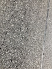 ネットのチカラについて松下重宏の思うこと