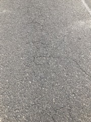 極端なファンについて　松下重宏の思うこと