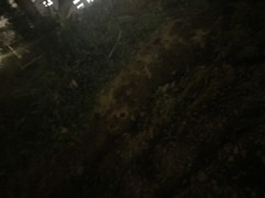 大学に通いたい　松下重宏の日記