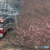 京浜急行