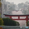 花曇り｡｡｡段葛の風景