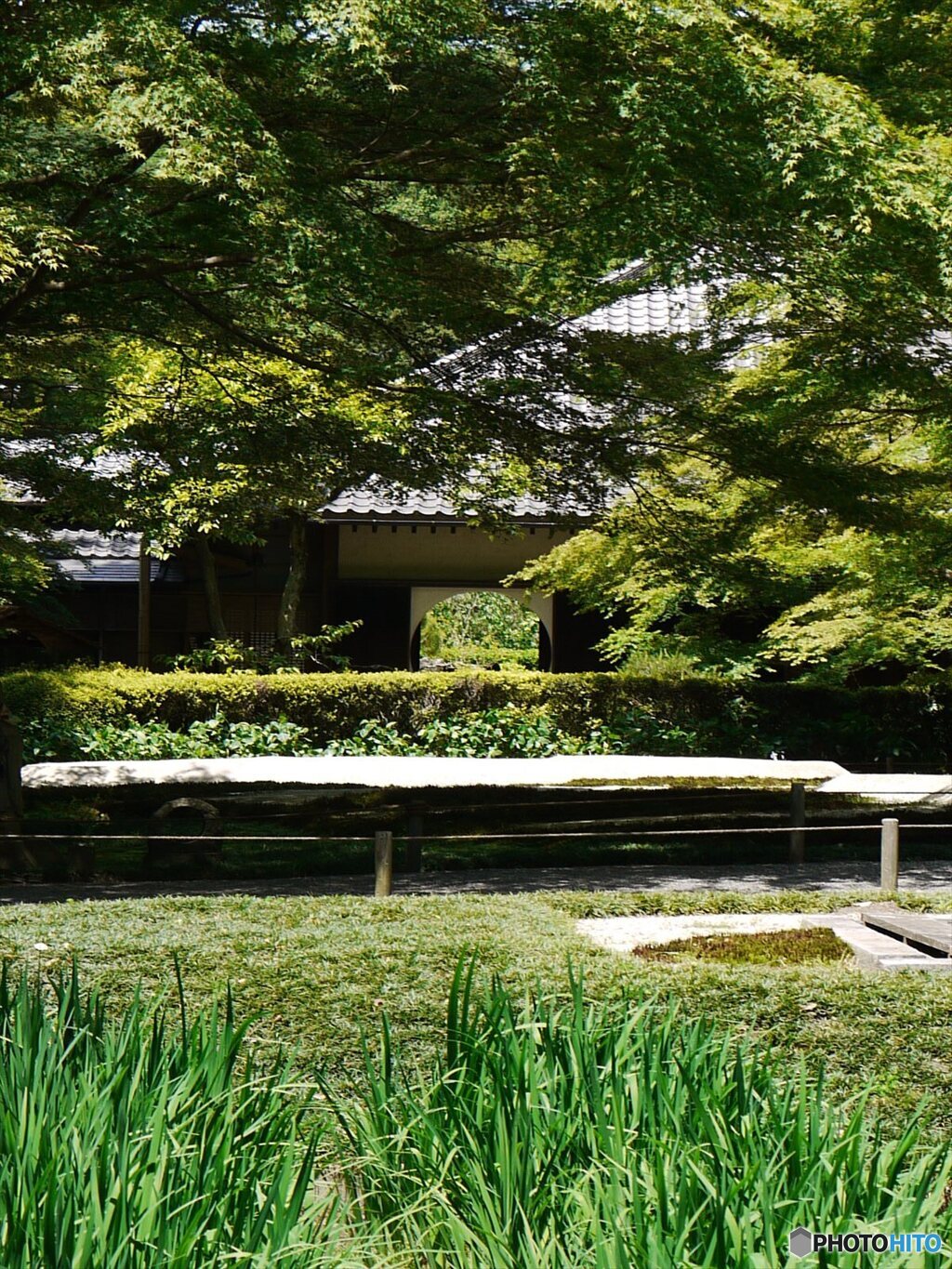 明月院本堂後庭園