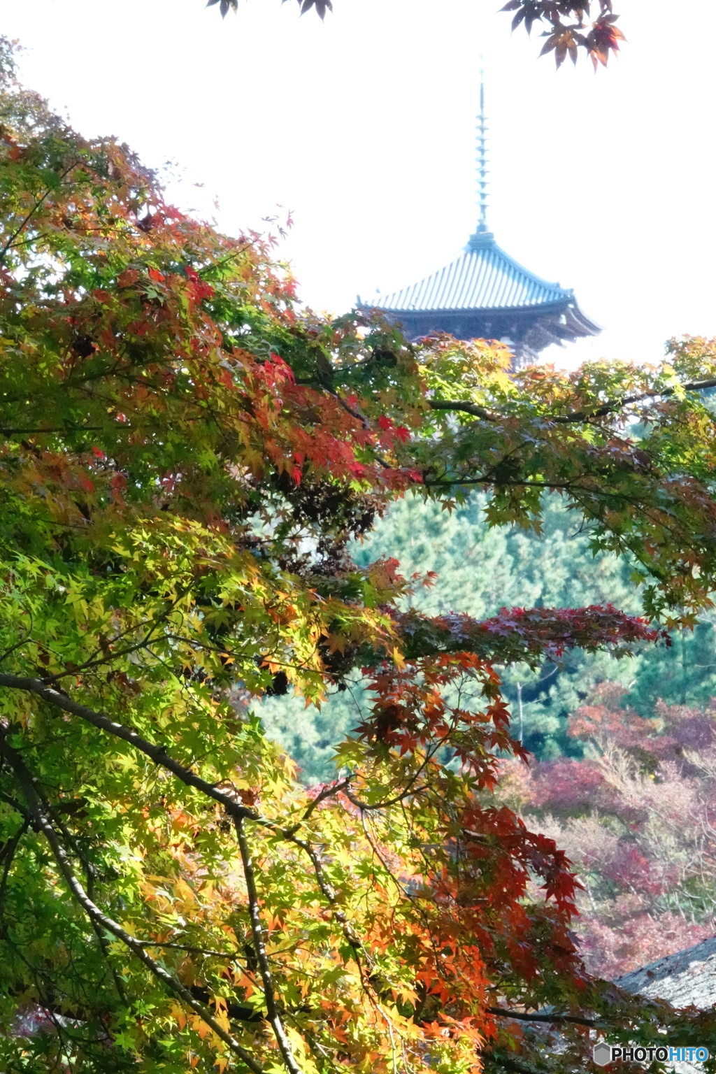 五重塔