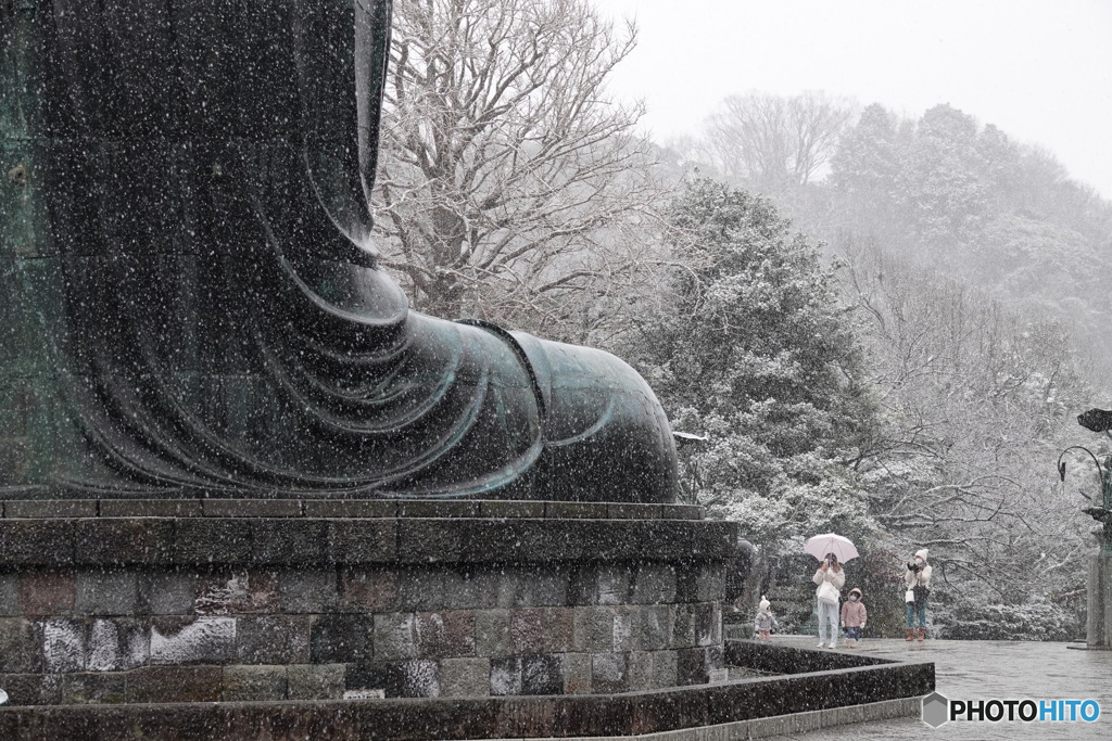 雪...大仏さま