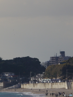 enoden