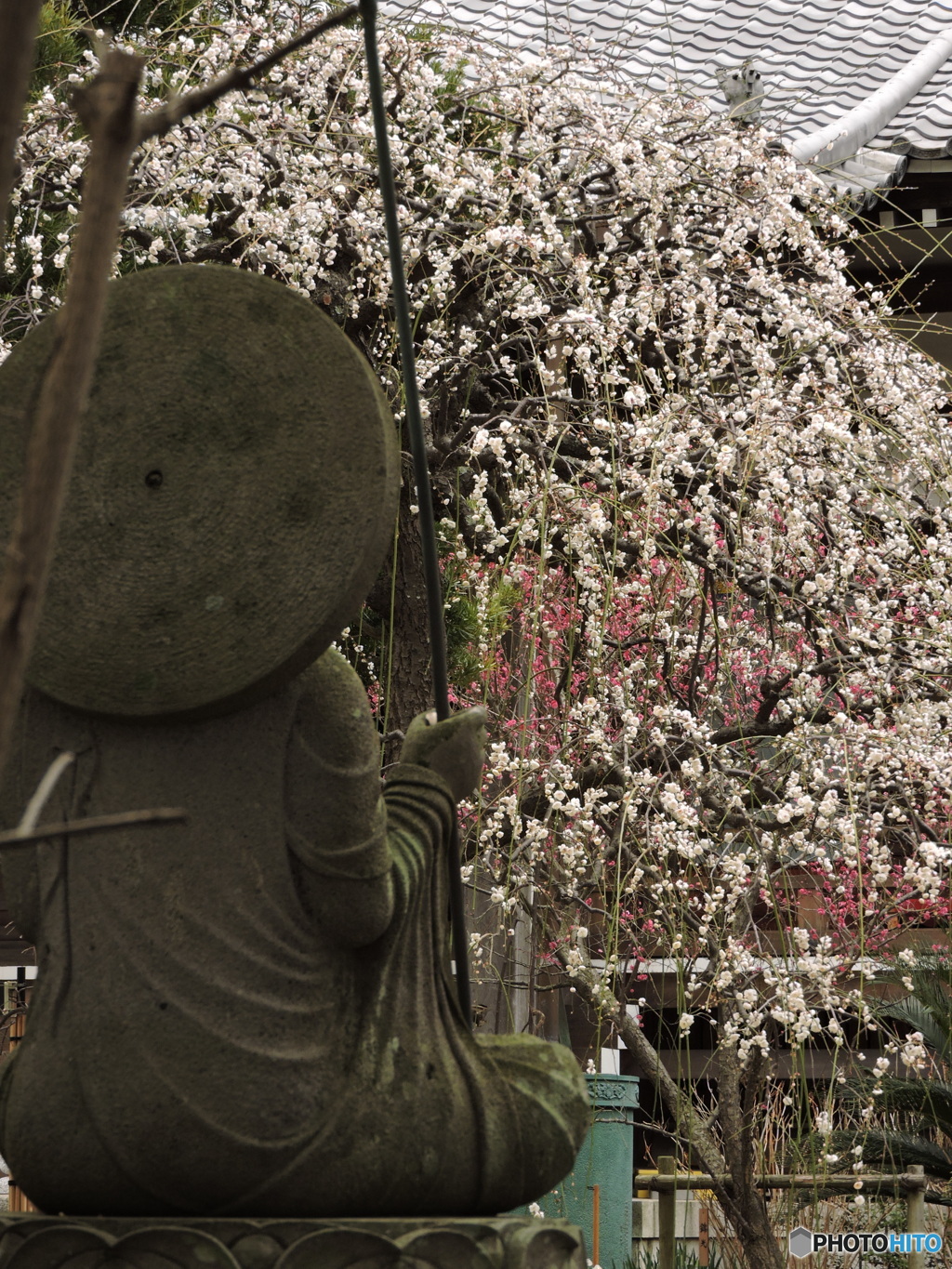1月21日の常立寺