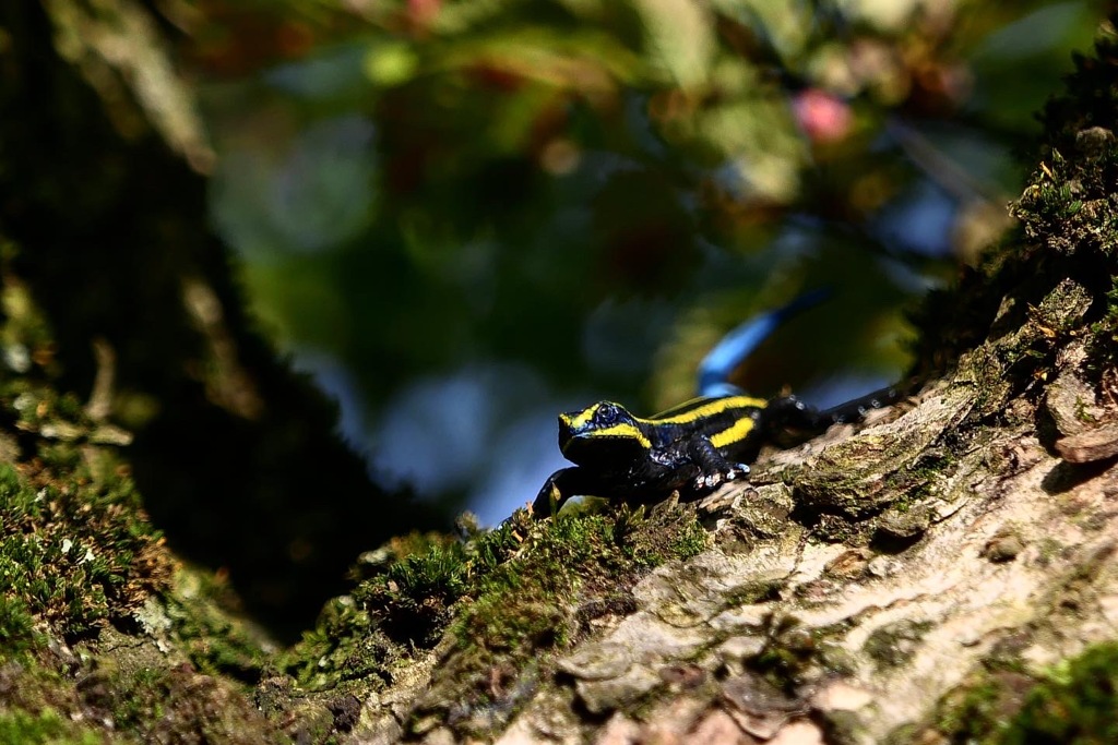 自然と不自然な狭間