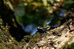 自然と不自然な狭間