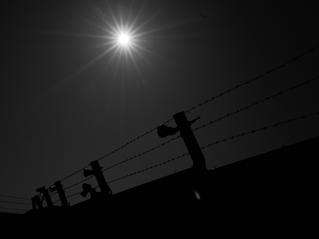 有刺鉄線とヒカリ