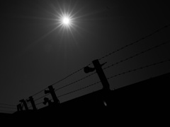 有刺鉄線とヒカリ