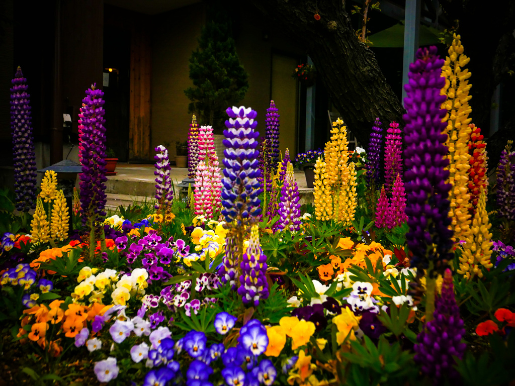 楽園の高層ビル