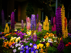 楽園の高層ビル
