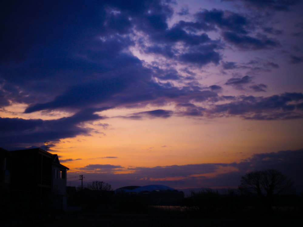 アサノイチマイ