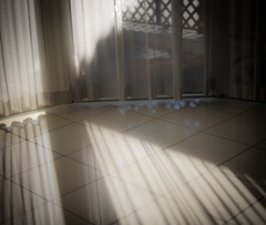 ベールのヒカリ