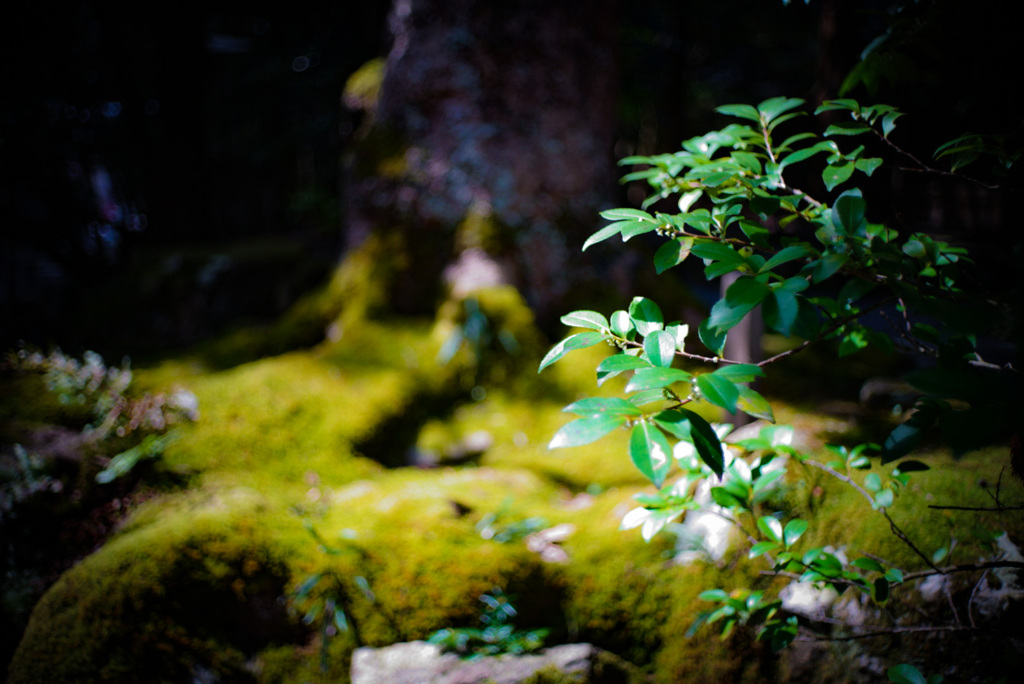 聖なる場所の色
