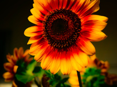 夏のはじまり。