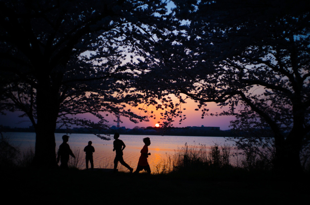 夕日の照らす方へ