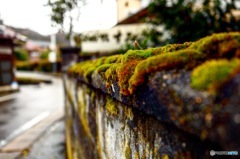 これからも続く