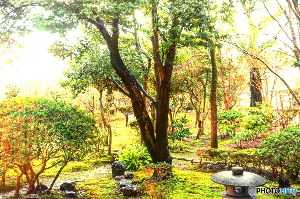 自然の恵