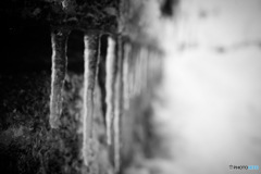 寒さと引き換えに