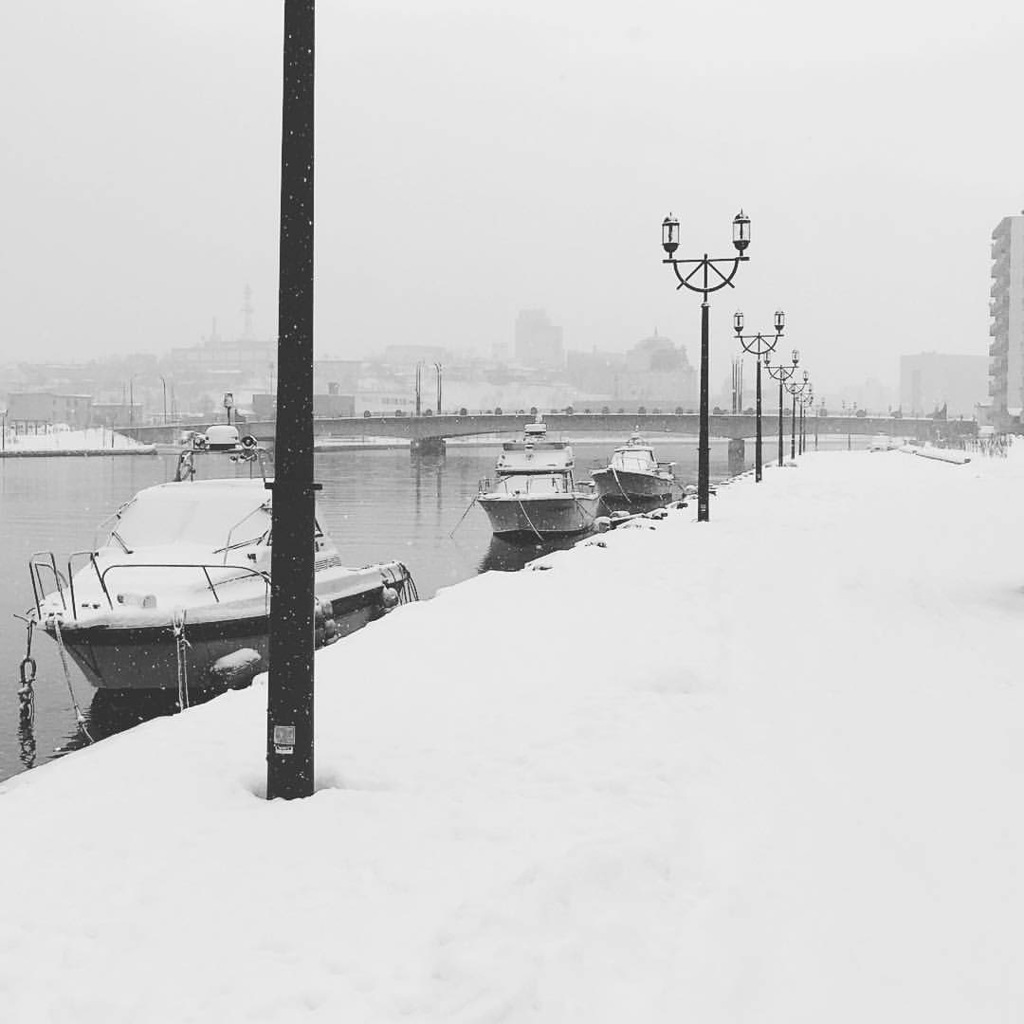 SNOWY RIVERSIDE