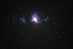 DSC01503