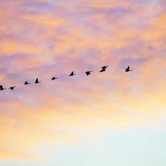 IMG_20180206_170328_363