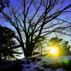 IMG_20180206_170328_356