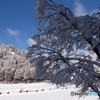 除雪の合間１