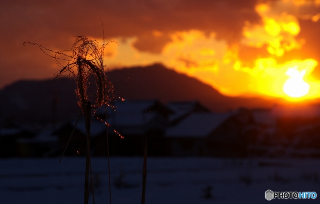 冬の夕焼け