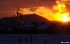 冬の夕焼け