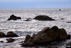 越前海岸