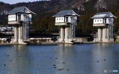 足羽川頭首工