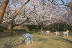 桜の下の動物たち