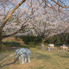 桜の下の動物たち