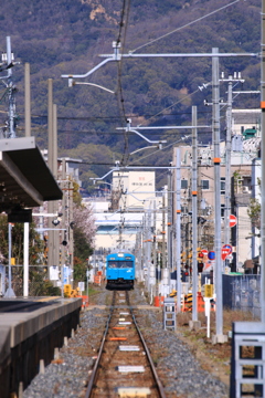 和田岬線の103系と桜１
