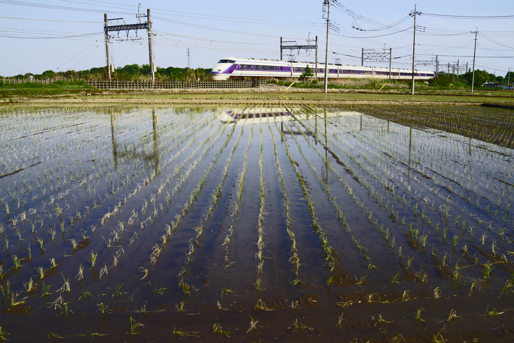 田植えを終えて　② 特急が行く