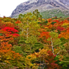 那須紅葉　⑤ 姥が平 周辺 Ⅰ