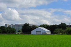 夏空と田圃とホワイトハウス