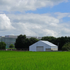 夏空と田圃とホワイトハウス