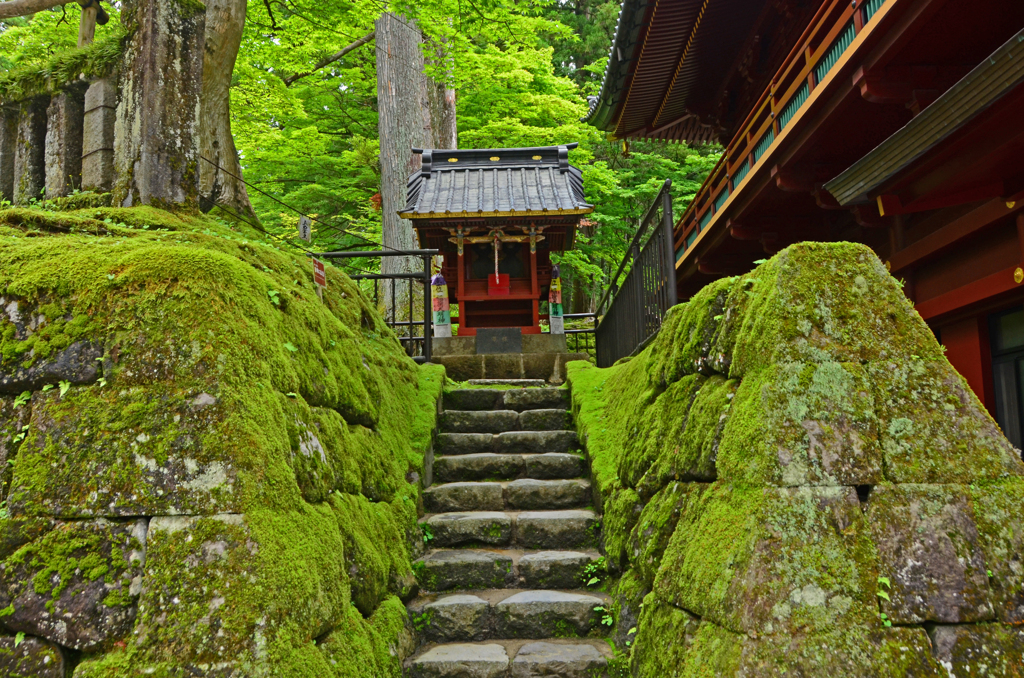 日光ぶらぶら　⑩ 木々や苔の緑に囲まれて
