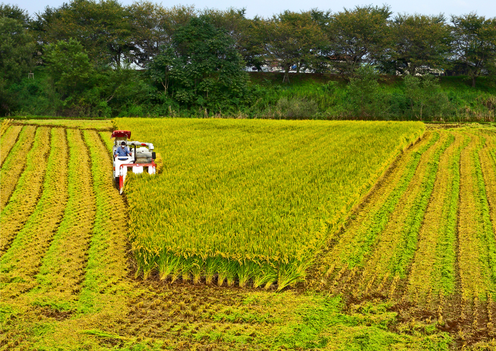 田園風景 逆さ富士